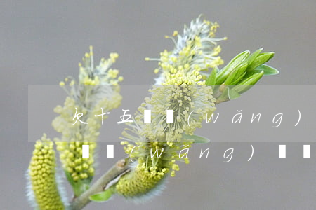 欠十五萬網(wǎng)貸怎么上岸(欠15萬網(wǎng)貸還能上岸嗎?)