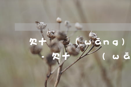 欠十來萬網(wǎng)貸還可以借哪些借貸-欠十來萬網(wǎng)貸還可以借哪些借貸呢