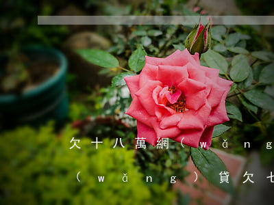 欠十八萬網(wǎng)貸一個月還七千(網(wǎng)貸欠七萬多怎么還)