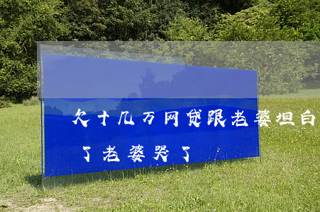 欠十几万网贷跟老婆坦白后(网贷和老婆坦白了老婆哭了)