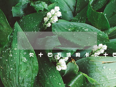 欠十四万信用卡(欠十四万信用卡怎么办)