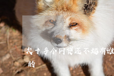 欠十多个网贷还不起(有谁欠网贷十几万不还的)