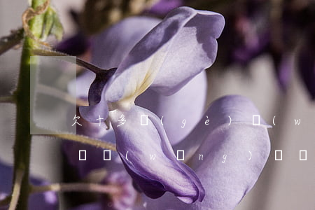 欠十多個(gè)網(wǎng)貸一年不還(網(wǎng)貸總共欠10萬(wàn)有不還的嗎)