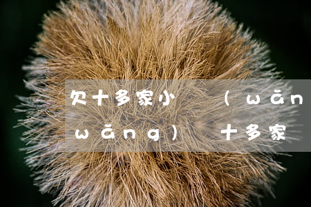 欠十多家小額網(wǎng)貸不還(欠網(wǎng)貸十多家會(huì)怎么辦)