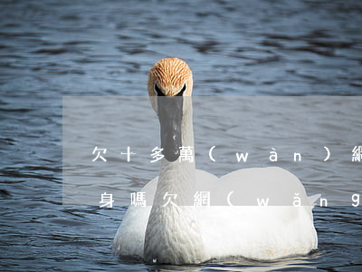 欠十多萬(wàn)網(wǎng)貸能翻身嗎(欠網(wǎng)貸30多萬(wàn)怎么翻身)