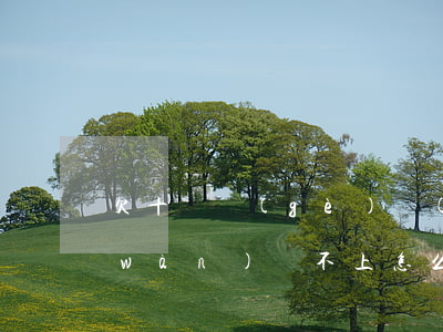 欠十幾個(gè)網(wǎng)貸4萬(wàn)還不上怎么辦-