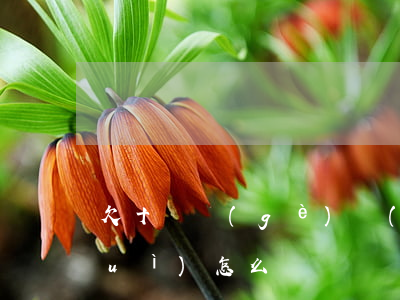 欠十幾個(gè)網(wǎng)貸會(huì)怎么樣