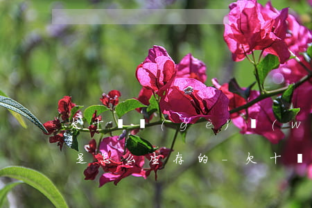 欠十幾個(gè)網(wǎng)貸的人都是怎么生存的-欠十幾個(gè)網(wǎng)貸怎么辦