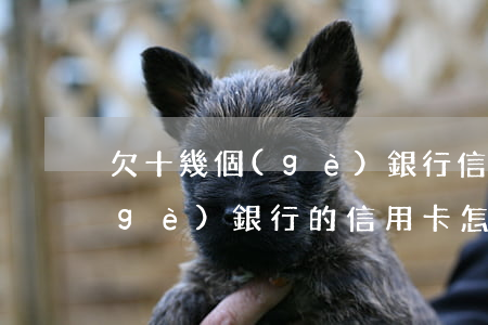欠十幾個(gè)銀行信用卡-欠好幾個(gè)銀行的信用卡怎么辦