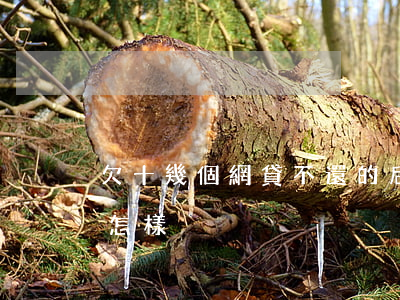 欠十幾個網貸不還的后果(欠幾家網貸不還會怎樣)