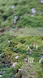 欠十幾個網貸怎么坦白(網貸十二萬坦白后家散了)
