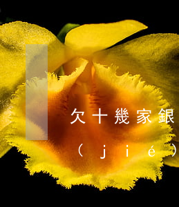 欠十幾家銀行網(wǎng)貸會面臨啥結(jié)果-