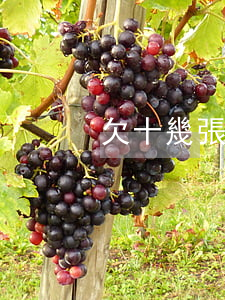 欠十幾張信用卡(欠十幾張信用卡幾十萬)