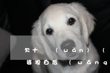 欠十幾萬(wàn)網(wǎng)貸跟老婆坦白后(網(wǎng)貸和老婆坦白了老婆哭了)