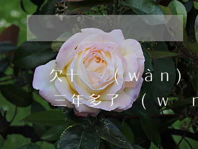 欠十幾萬(wàn)網(wǎng)貸逾期三年多了(網(wǎng)貸欠了16萬(wàn)現(xiàn)在都要逾期了)