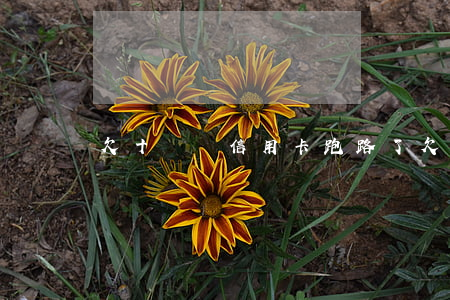欠十幾萬信用卡跑路了(欠信用卡 跑路)