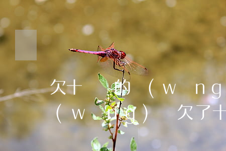 欠十幾萬的網(wǎng)貸不還會怎樣(網(wǎng)貸欠了十萬還不上怎么辦)