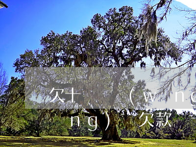欠十幾萬網(wǎng)貸該怎么做(網(wǎng)貸欠款幾十萬怎么辦)