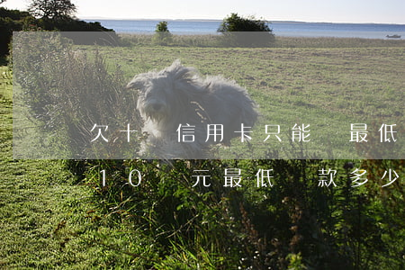 欠十萬信用卡只能還最低怎么辦-欠信用卡10萬元最低還款多少