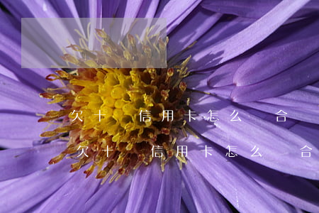 欠十萬信用卡怎么還合適點(diǎn)-欠十萬信用卡怎么還合適點(diǎn)貸款