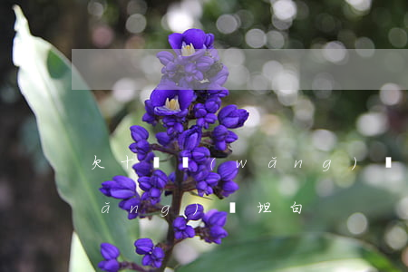 欠十萬網(wǎng)貸坦白(欠十萬網(wǎng)貸坦白)