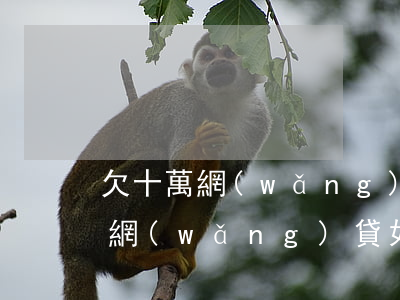 欠十萬網(wǎng)貸如何上岸(欠十幾萬網(wǎng)貸如何上岸)