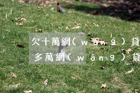 欠十萬網(wǎng)貸幾年不還怎樣(欠十多萬網(wǎng)貸還不起了)