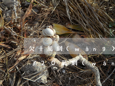 欠十萬網(wǎng)貸還不起了想死了(欠了20萬網(wǎng)貸無力償還想死)