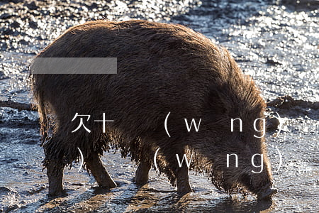 欠十萬網(wǎng)貸還能坐飛機(jī)嗎(網(wǎng)貸10萬不還會(huì)坐牢嗎)