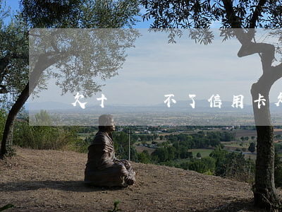 欠十萬辦不了信用卡(欠十萬辦不了信用卡)