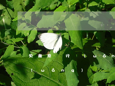欠南京銀行網(wǎng)貸(南京銀行的網(wǎng)貸)