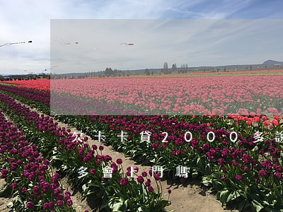 欠卡卡貸2000多說要上門(欠信用卡一萬多會上門嗎)