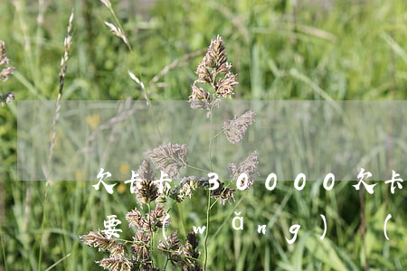 欠卡卡貸30000(欠卡卡貸3萬還不起了要網(wǎng)絡(luò)仲裁怎么辦)
