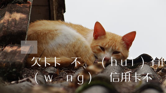 欠卡卡貸不還會(huì)有什么后果(欠網(wǎng)貸信用卡不還會(huì)有什么后果)