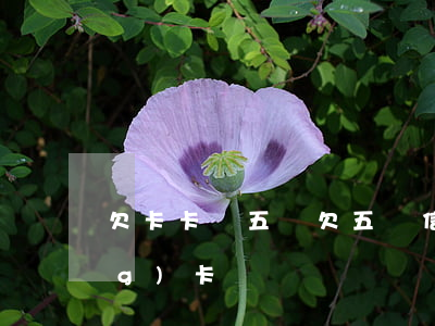 欠卡卡貸五萬(欠五萬信用卡以卡養(yǎng)卡)