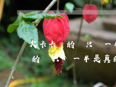 欠卡卡貸的錢只還一半是真的嗎-欠卡卡貸的錢只還一半是真的嗎知乎