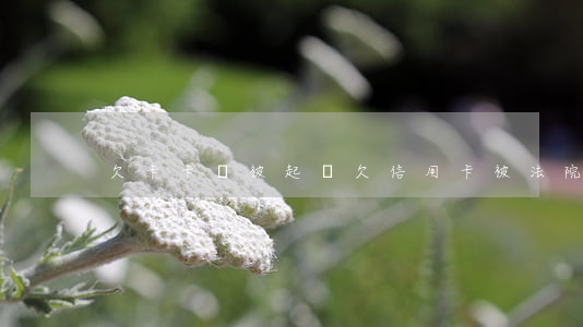 欠卡卡貸被起訴(欠信用卡被法院起訴)