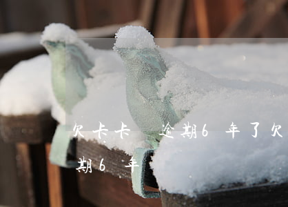欠卡卡貸逾期6年了(欠信用卡15000逾期6年)