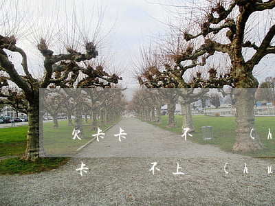 欠卡卡貸錢不還會(huì)坐牢嗎(欠信用卡錢還不上 會(huì)坐牢嗎)