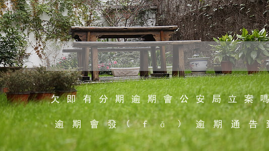 欠即有分期逾期會公安局立案嗎-即有分期逾期會發(fā)逾期通告到公安局嗎
