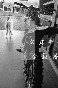 欠厚本金融貸款逾期會(huì)被起訴嗎(金融借款逾期利息)
