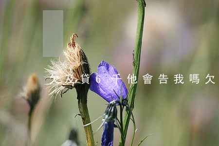 欠及貸6千他會告我嗎(欠六千可以起訴嗎)