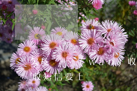 欠及貸一萬(wàn)收到上門催收短信(催收短信要上門)