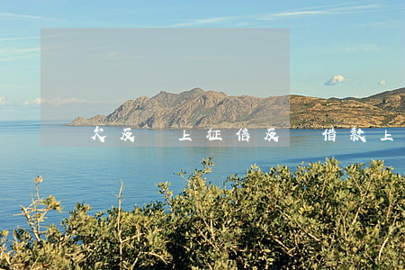 欠及貸上征信(及貸借款上征信嗎)