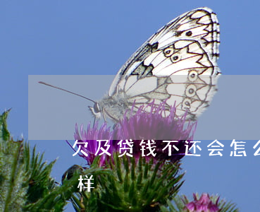 欠及贷钱不还会怎么样(欠贷款的钱不还会怎样)