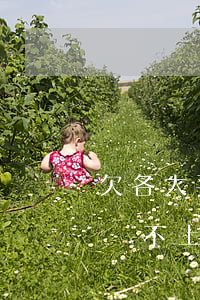 欠各大平臺(tái)的網(wǎng)貸還不上(欠網(wǎng)貸想還找不到平臺(tái)了)