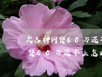 欠各种网贷60万还不上怎么办-欠各种网贷60万还不上怎么办呢