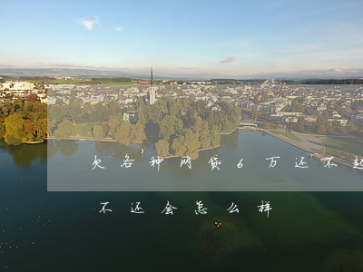 欠各种网贷6万还不起会怎样(欠网贷五六千不还会怎么样)