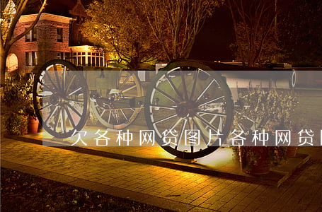 欠各种网贷图片(各种网贷图片大全)