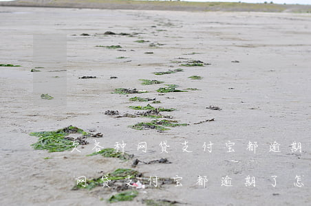 欠各种网贷支付宝都逾期了怎么办-欠各种网贷支付宝都逾期了怎么办呢